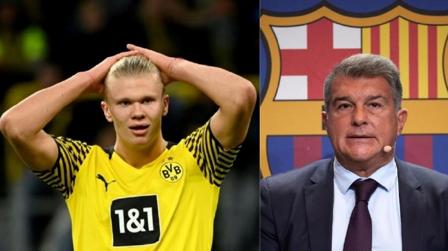 这队彻底起飞了